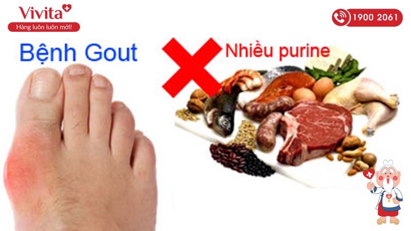 thực phẩm giàu purine nguyên nhân gây bệnh gout