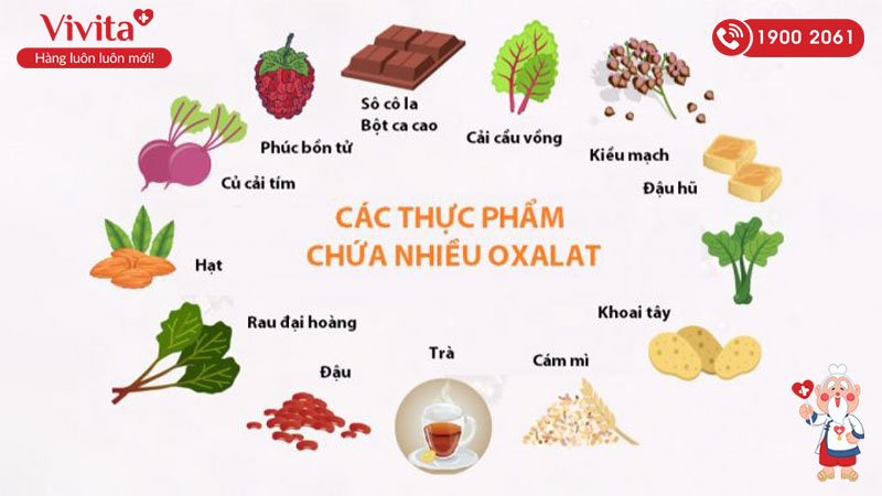 Acid oxalic sẽ có nhiều trong các loại hoa quả sau: cà chua, của cải, khoai tây, việt quất và quả mận