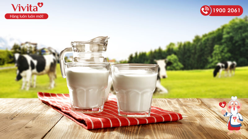 Sữa bò làm tăng mật độ canxi của xương ức chế quá trình thoái hóa xương
