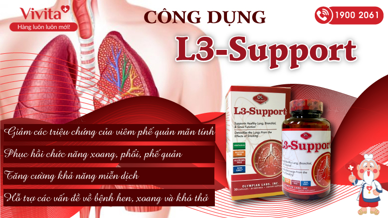 công dụng l3 support
