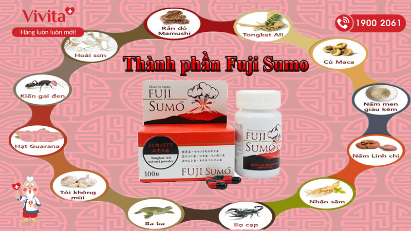 thành phần fuji sumo