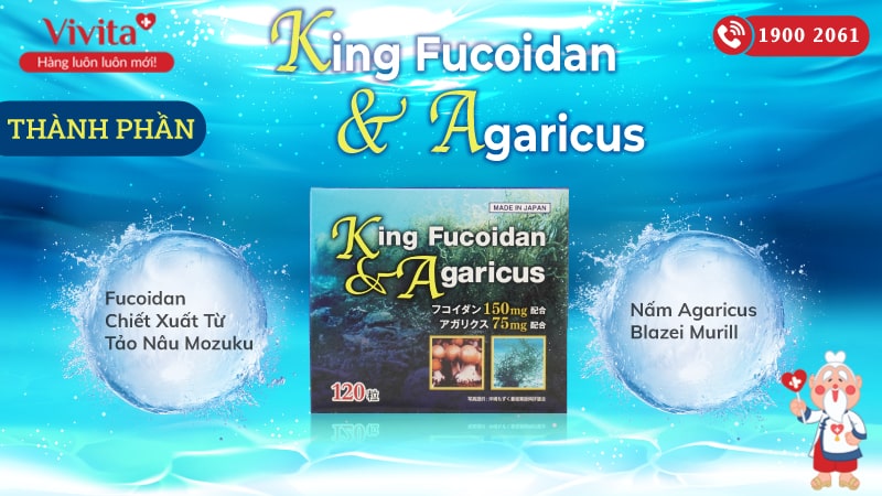 thanh phan king fucoidan agaricus