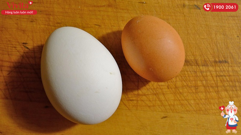 giảm cân nên ăn trứng vịt hay trứng gà
