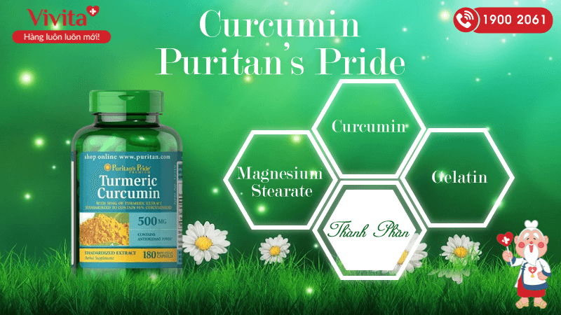 thanh phan curcumin puritan pride