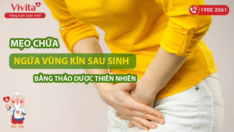 meo-chua-ngua-vung-kin-sau-sinh-bang-thao-duoc-tu-nhien