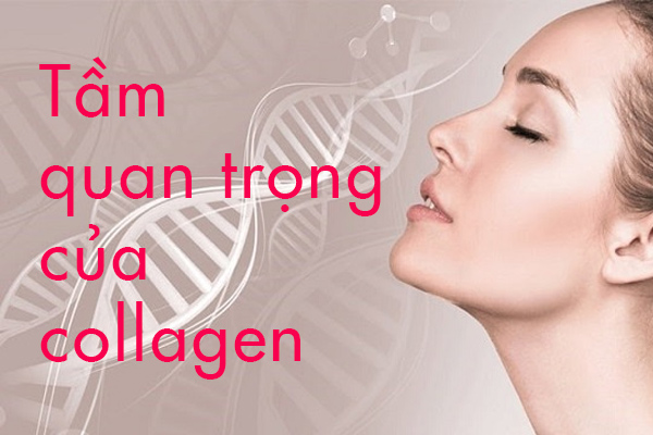 nuoc-uong-dep-da-va-tam-quan-trong-cua-collagen