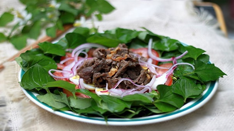 rau diep ca tri benh tri an toan
