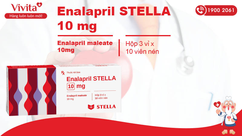 Thuốc điều trị tăng huyết áp, suy tim Enalapril Stella 10mg