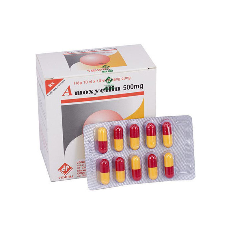 Thuốc kháng sinh Amoxycillin 500mg Vidipha | Hộp 100 viên