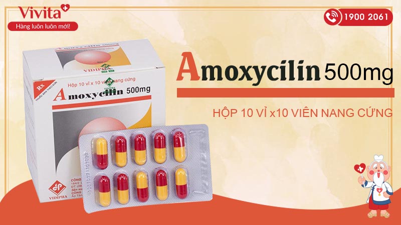 Thuốc kháng sinh Amoxycilin 500mg vidipha
