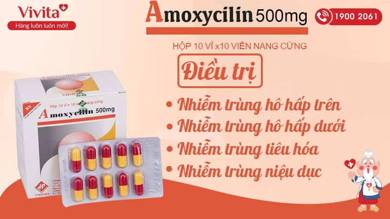 Công dụng thuốc kháng sinh Amoxycilin 500mg vidipha