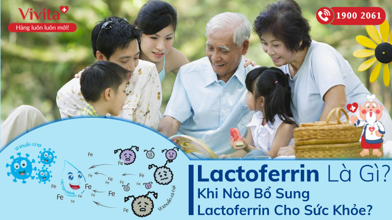 lactoferrin-la-gi-khi-nao-bo-sung-Lactoferrin-cho-suc-khoe