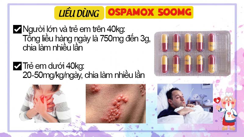 Liều dùng thuốc kháng sinh Ospamox 500mg
