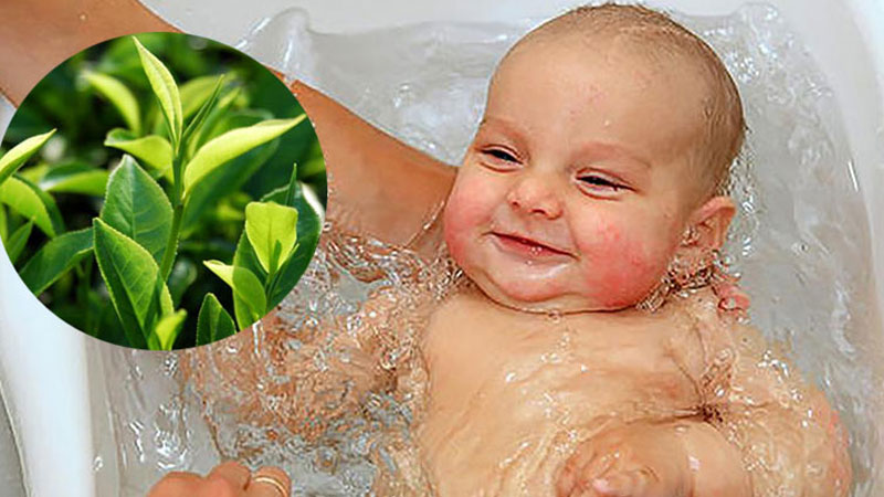Tắm nước lá chè xanh giúp giảm mẩn ngứa mùa hè