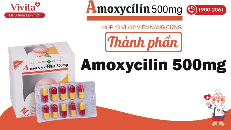 Thành phần thuốc kháng sinh Amoxycilin 500mg vidipha