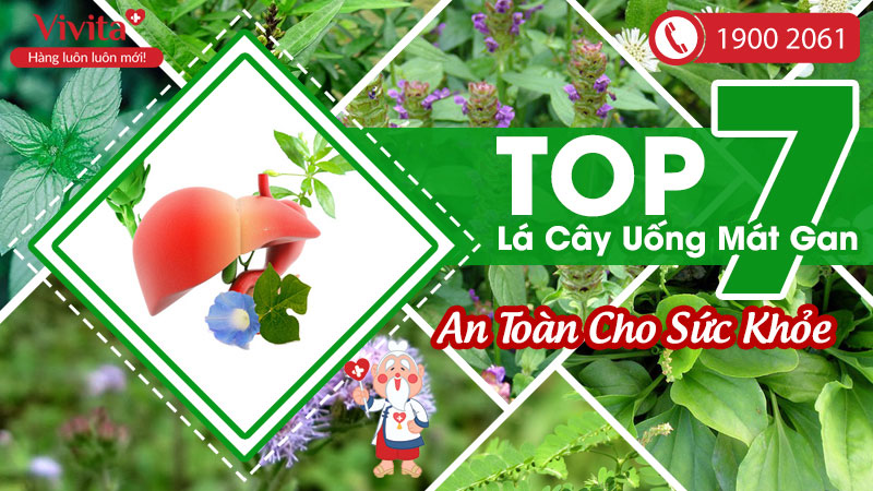 top-7-la-cay-uong-mat-gan-an-toan-cho-suc-khoe