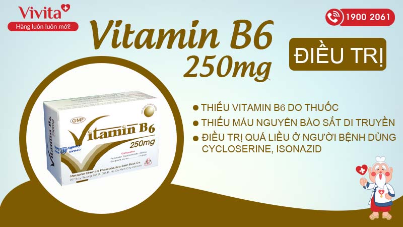 Công dụng Vitamin B6 250mg Mekophar
