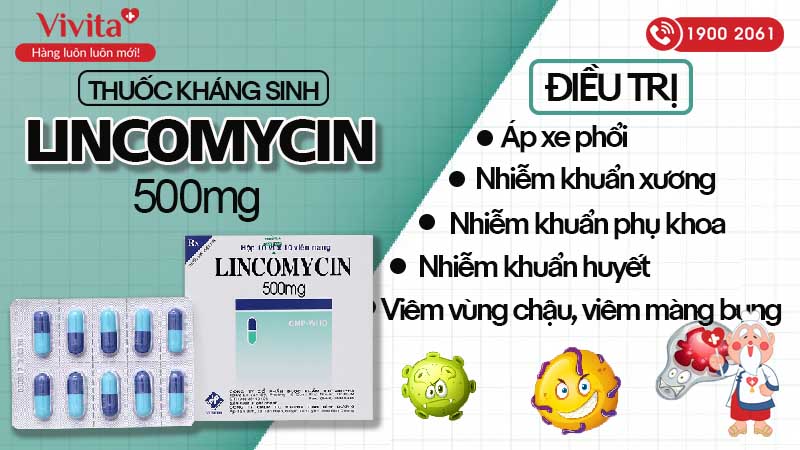 Công dụng của thuốc kháng sinh trị nhiễm khuẩn Lincomycin 500mg