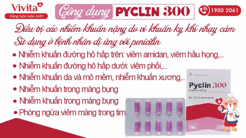 Công dụng của thuốc Pyclin 300 