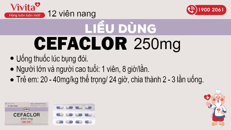 Liều dùng thuốc cefaclor 250mg 