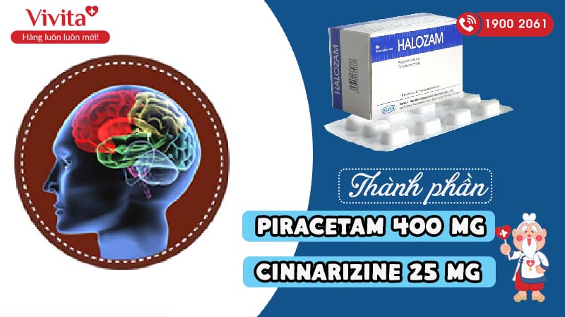 Thành phần thuốc hỗ trợ chức năng não Halozam