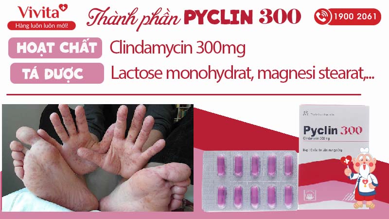 Thành phần thuốc kháng sinh trị nhiễm khuẩn Pyclin 300 