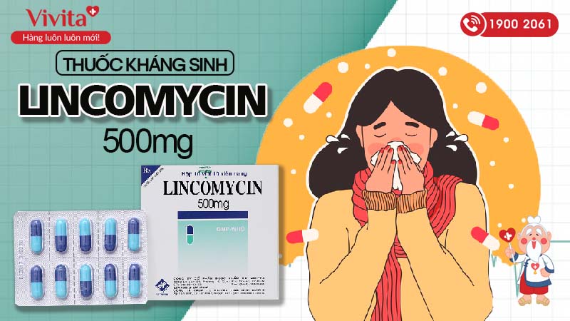 Thuốc kháng sinh trị nhiễm khuẩn Lincomycin 500mg