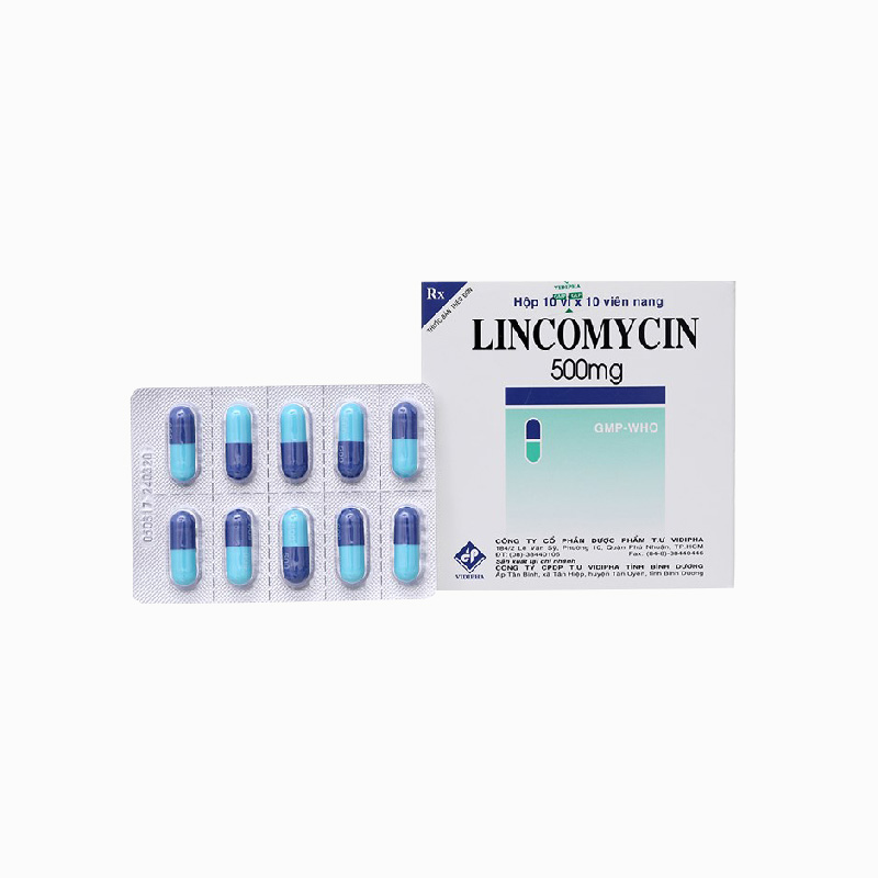 Thuốc kháng sinh trị nhiễm khuẩn Lincomycin 500mg | Hộp 100 viên