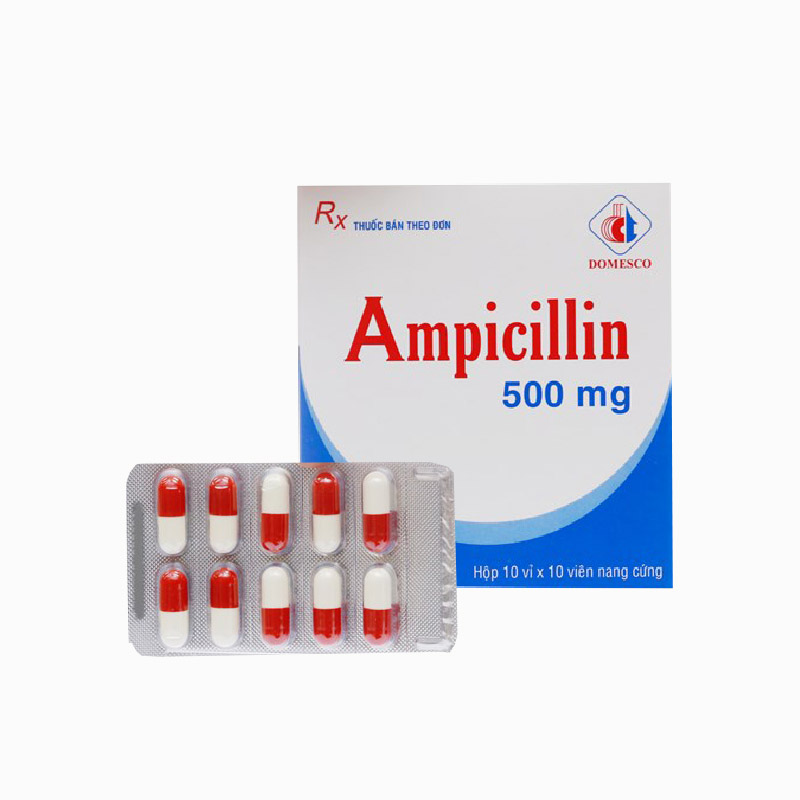 Thuốc kháng sinh trị nhiễm khuẩn Ampicillin 500mg | Hộp 100 viên