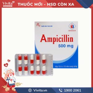 Thuốc kháng sinh trị nhiễm khuẩn Ampicillin 500mg