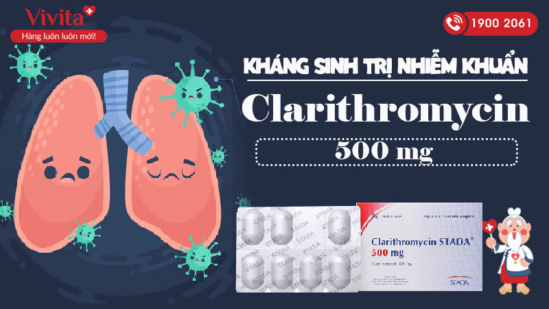 Thuốc kháng sinh trị nhiễm khuẩn Clarithromycin Stada 500mg