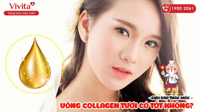 uong-collagen-tuoi-co-tot-khong-top-7-collagen-tuoi-tot-nhat