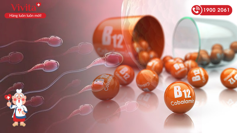 vitamin b12 tăng cường sinh lý nam giới