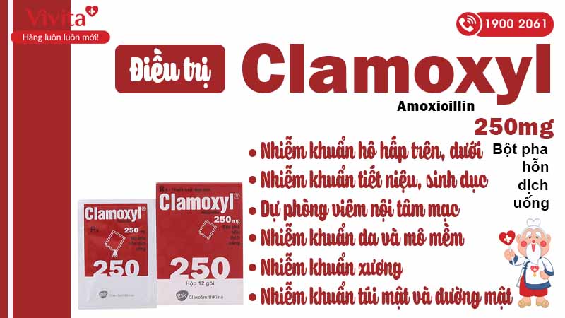 Công dụng kháng sinh clamoxyl 250mg
