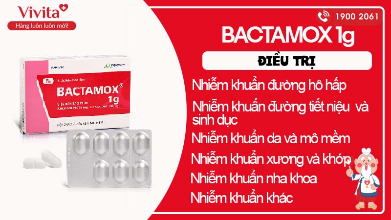 Công dụng của Bactamox 1g
