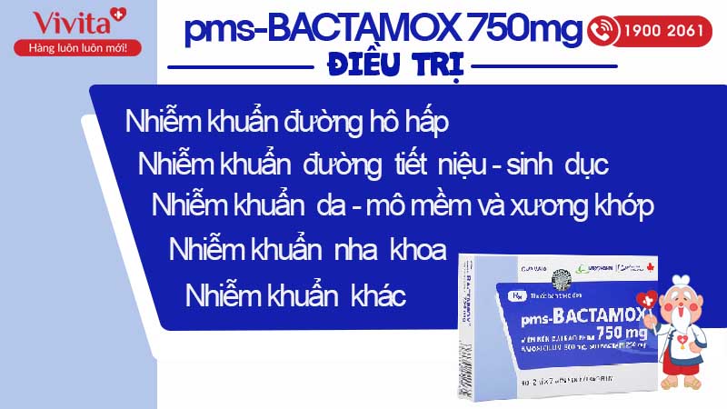 Công dụng của pms Bactamox 750mg