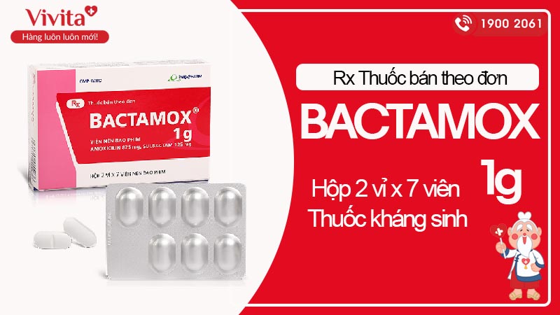 Thuốc kháng sinh trị nhiễm khuẩn Bactamox 1g