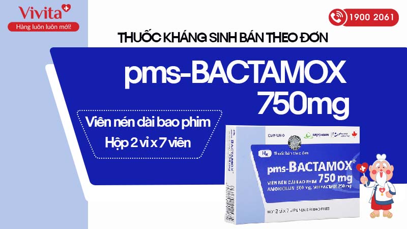 Thuốc kháng sinh trị nhiễm khuẩn pms Bactamox 750mg