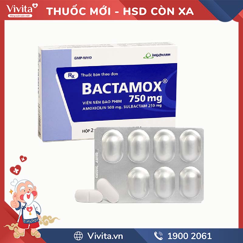 Thuốc kháng sinh trị nhiễm khuẩn pms Bactamox 750mg l Hộp 14 viên
