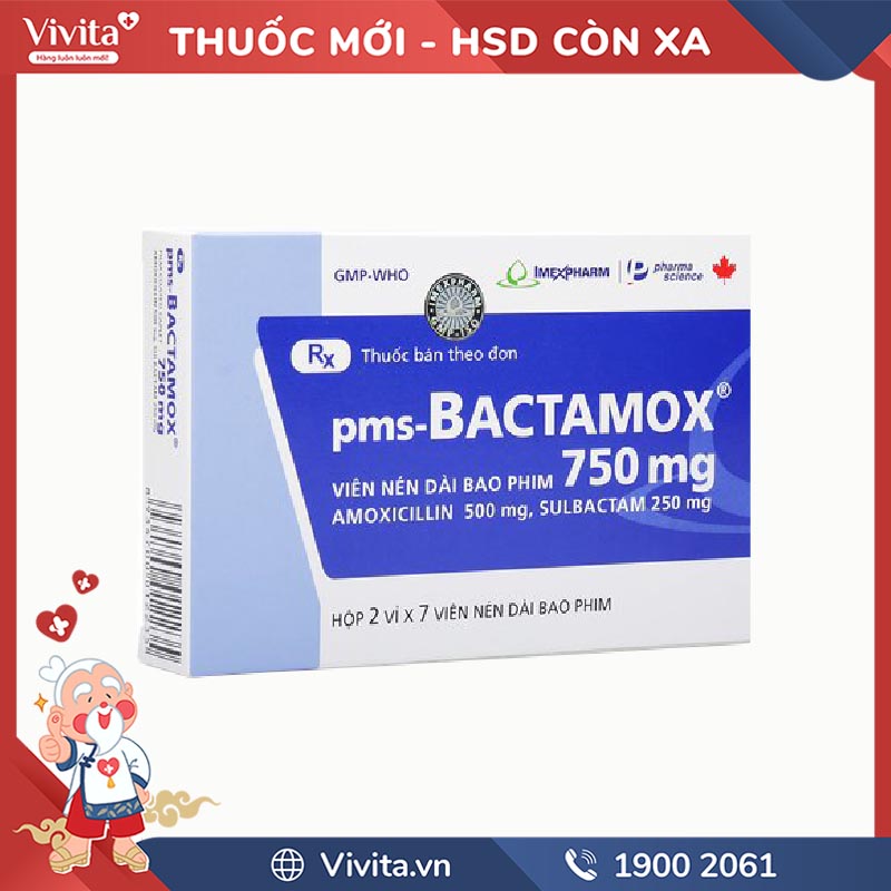 Thuốc kháng sinh trị nhiễm khuẩn pms Bactamox 750mg l Hộp 14 viên
