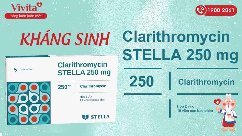 Kháng sinh Clarithromycin stella 250mg