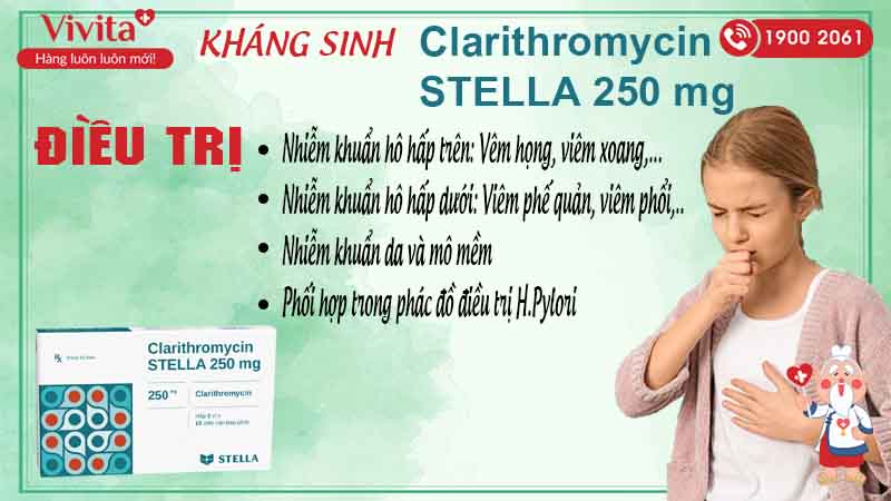 Công dụng kháng sinh Clarithromycin stella 250mg