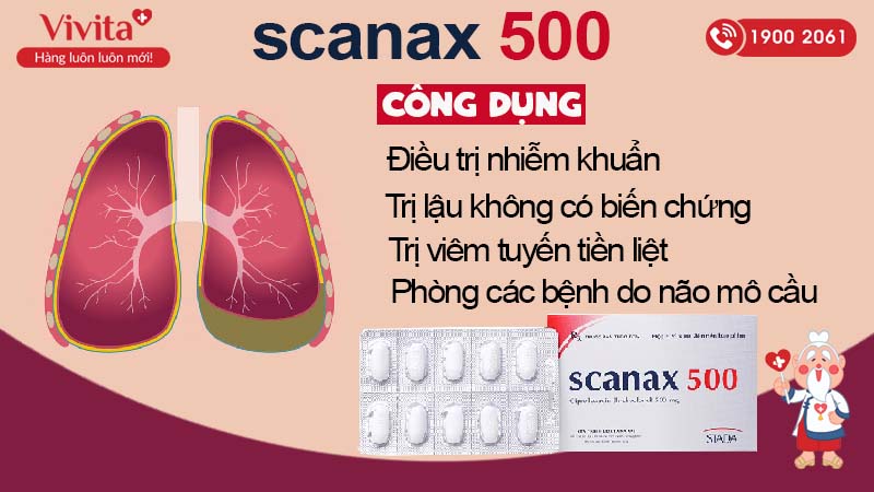 Công dụng của kháng sinh Scanax 500