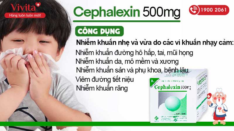 Công dụng của thuốc Cefalexin 500mg