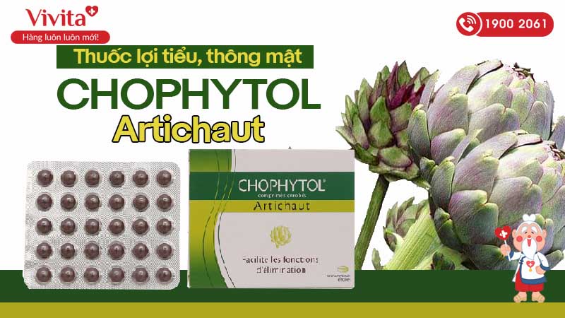 Thuốc lợi tiểu, thông mật Chophytol