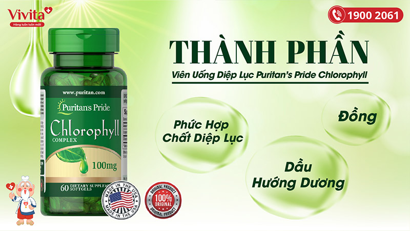thanh-phan-puritans-pride-chlorophyll