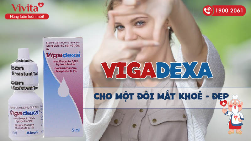 Thuốc nhỏ mắt trị nhiễm khuẩn Vigadexa
