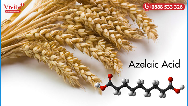 Acid azelaic có nguồn gốc từ ngũ cốc như lúa mạch, lúa mì