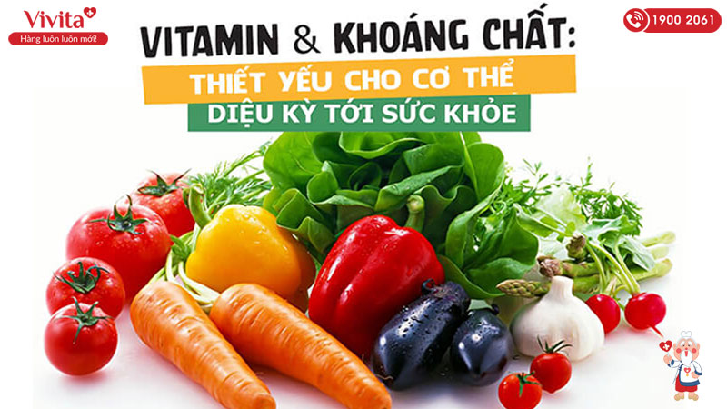 rau-cu-giau-vitamin-va-khoang-chat