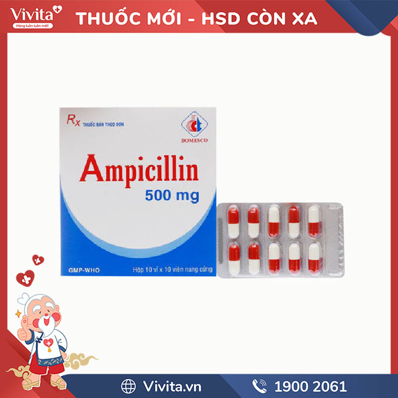 Thuốc kháng sinh trị nhiễm khuẩn Ampicilin 500mg Domesco | Hộp 100 viên